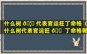 什么树 🦋 代表官运旺丁命格（什么树代表官运旺 🐠 丁命格呢）